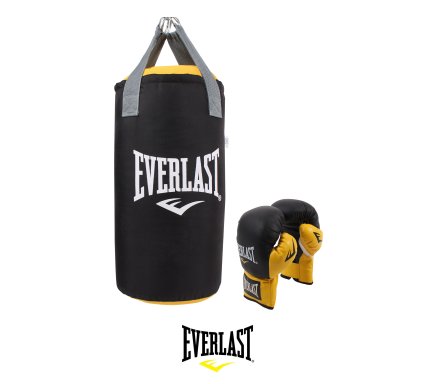everlast 1910 heavy bag