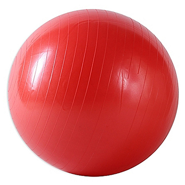 Fitness Gym Balls